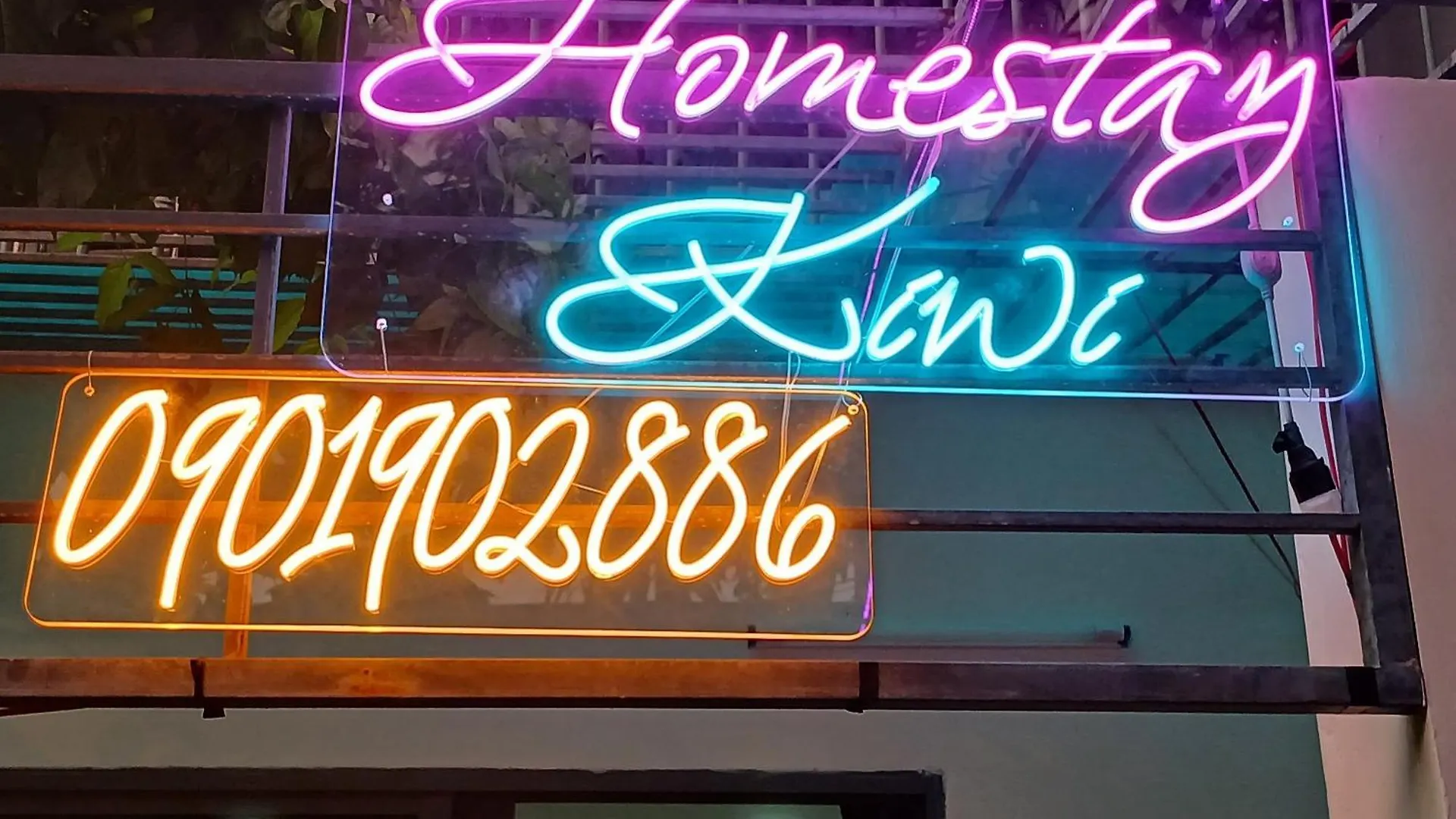 Homestay Kiwi contacts